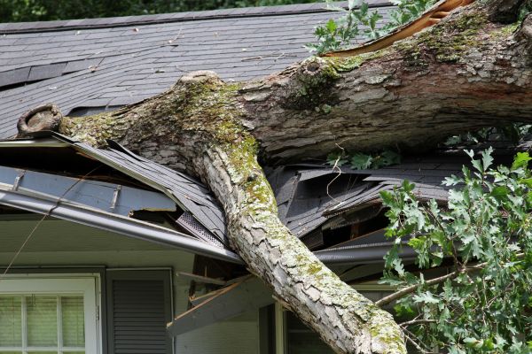 Storm Remediation in Fredericksburg