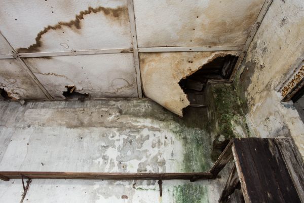 Water Damage Service in Fredericksburg