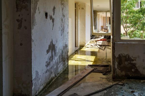 Water Removal Service in Fredericksburg