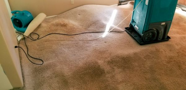 Carpet Water Extraction in Fredericksburg
