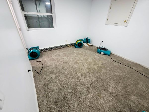 Flood Restoration Service in Fredericksburg
