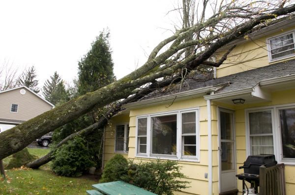 Hurricane Damage Repair in Fredericksburg
